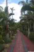 Pineapple Park (2)